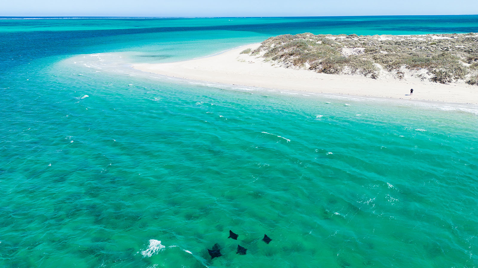 Coral Bay, WA